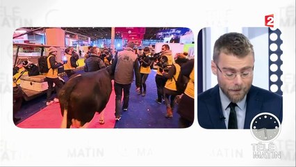 Actu plus - Les difficultés du monde agricole