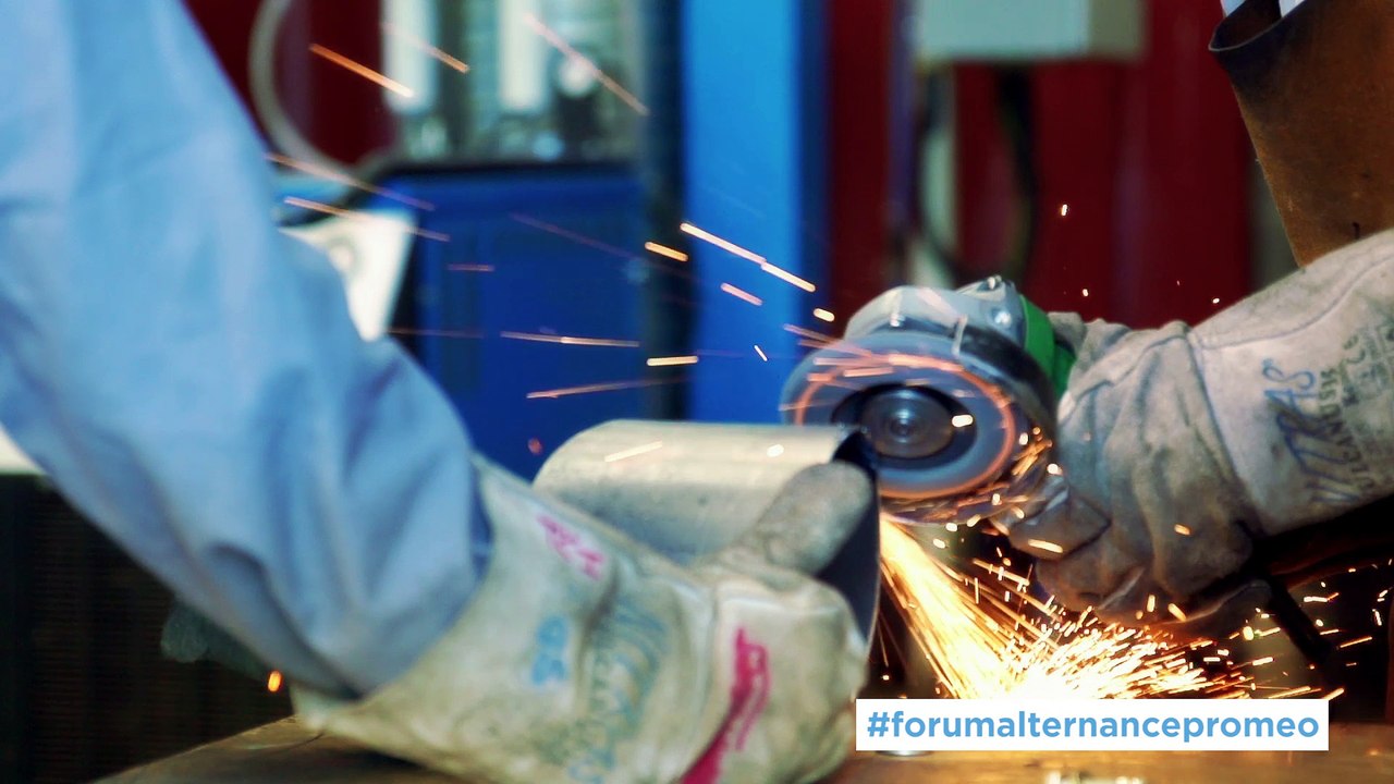 PROMEO : Forum de l'alternance le 10 mars prochain