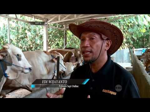 Agenda NET5 Usaha Tahan Krisis - NET5