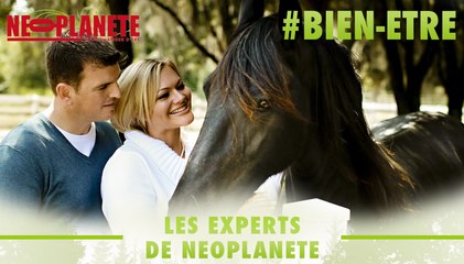 [Les experts] Comment maîtriser nos émotions grâce aux chevaux
