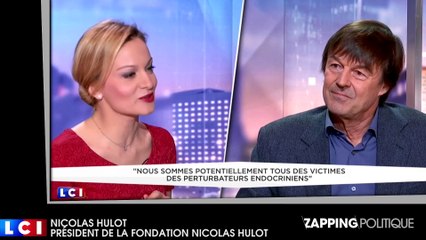 Zap politique 28 février : Benoît Hamon désavoué, François Hollande taclé par le FN, Nicolas Hulot prudent (vidéo)