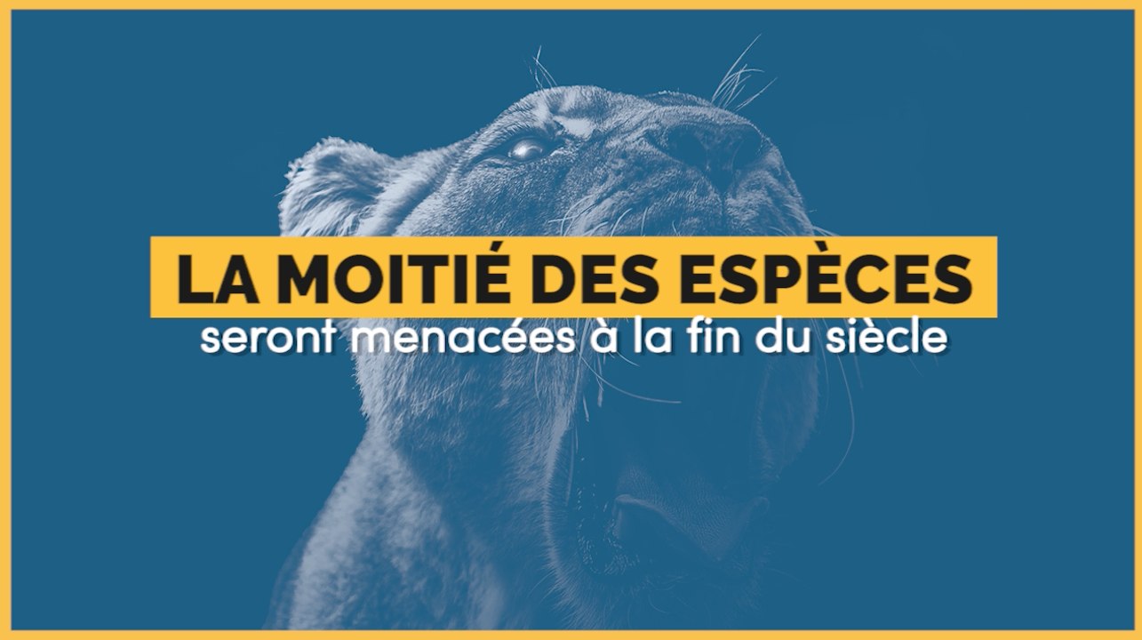 La moitié des espèces de notre planète pourraient être menacée d'ici la fin du siècle