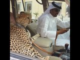 Chuyện khó tin - Những điều điên rồ thể hiện giàu có ở Dubai