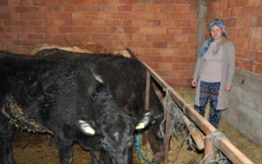 Simavlı Genç Kadın Hibe Düveleri ile Kendi Çiftliğini Kurdu