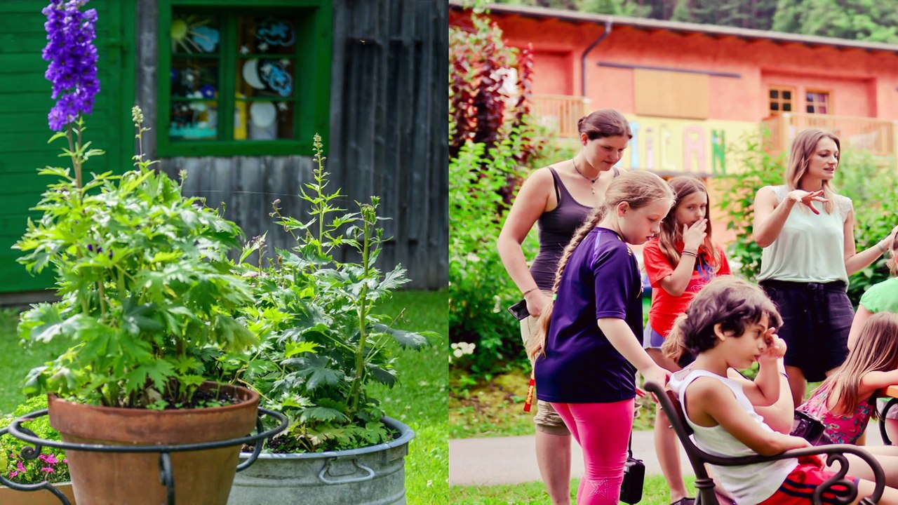 Appelhof - Sommerakademie 2016 | Powered by Gazprom Export |