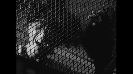 Tetsuo, the Iron Man (1989) - Shinya Tsukamoto