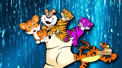 下载视频: Los tigres del Dedo de la Familia | Con los dibujos animados y Animales Reales | canciones infantiles para los niños