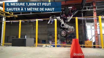 Handle, le nouveau robot qui étonne par son agilité et sa vitesse
