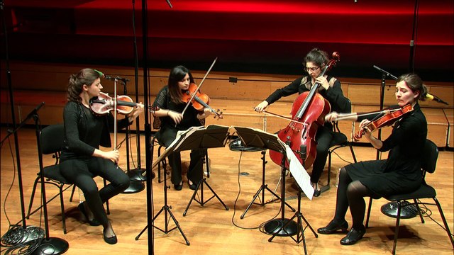 Beethoven : Quatuor à cordes n° 8 en mi mineur op. 59 n° 2 - Allegro par le Quatuor Akilone