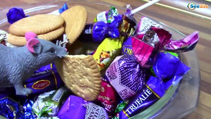 CRAZY CHALLENGE! Paw Patrol & Bad Baby Puppy | Щенячий Патруль Бешеный Хомяк