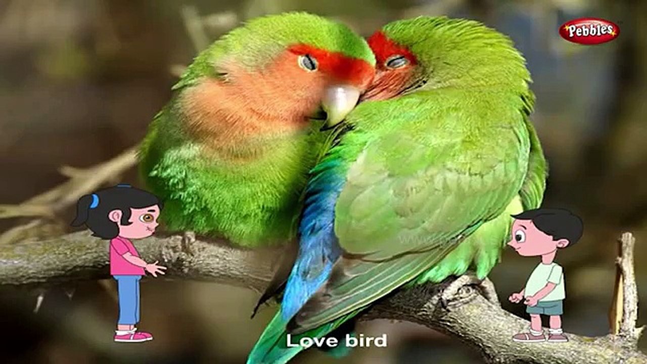Five Little Birds | Nursery Rhymes & Kids Songs - ABCkidTV