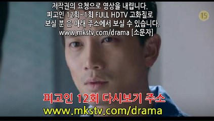 피고인 12회 170228