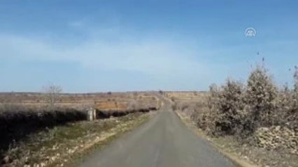 Yola Tuzaklanan El Yapımı Patlayıcılar Imha Edildi