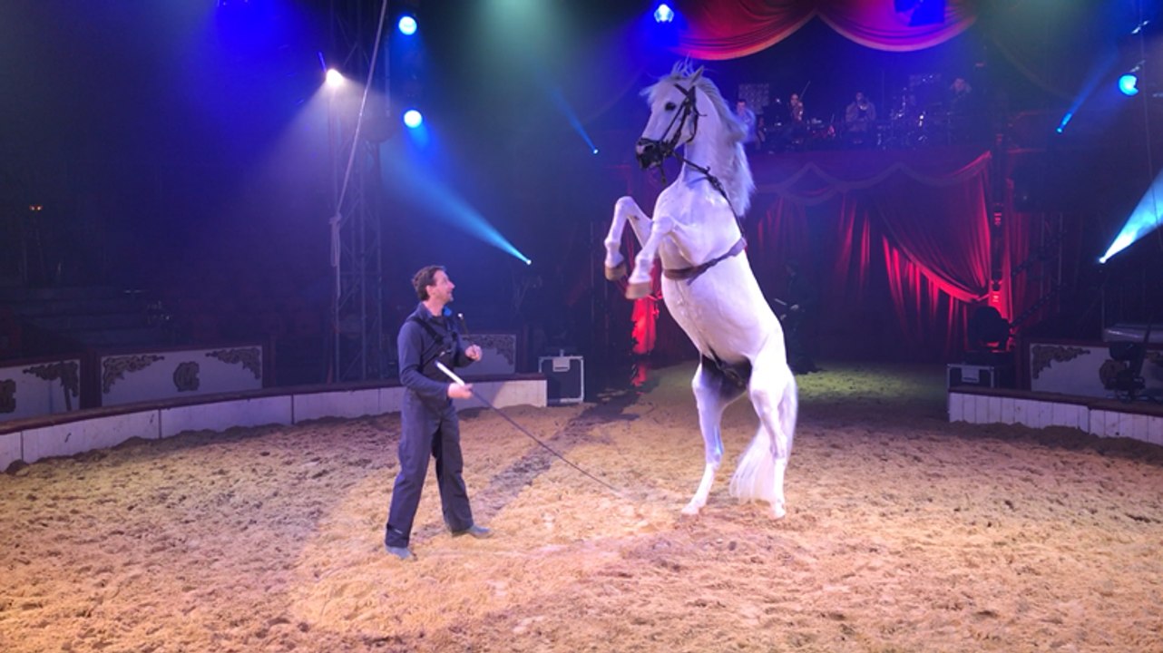 Festival international du cirque