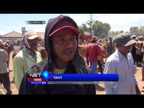 Jasa Tukang Dorong Sapi di Pasar Hewan Pamekasan Laris Manis - NET5