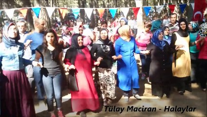 Tülay Maciran Halaylar 2015