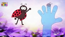 Baby Rhymes   Tomato- Brinjal-Watermelo Finger Family Cartoons   Family Rhymes