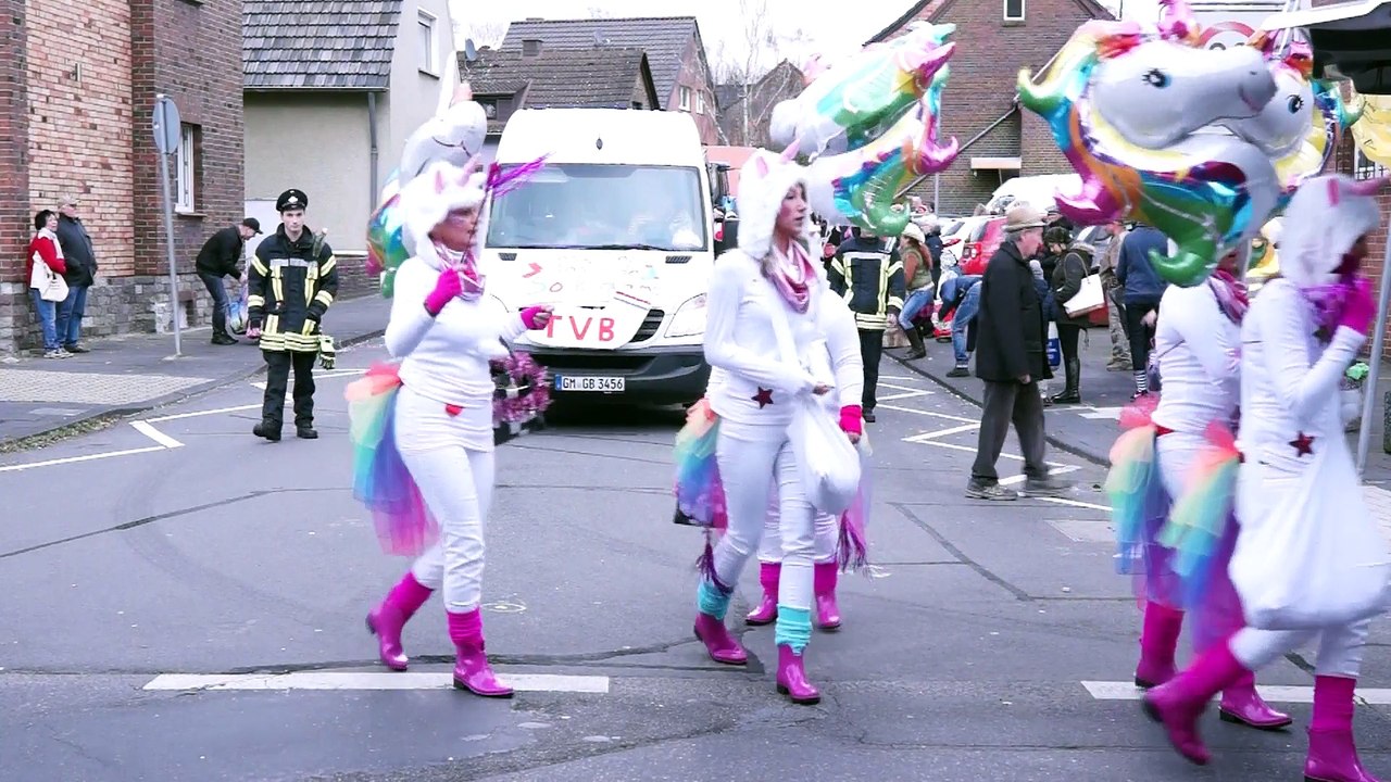 Rosenmontag 2017 BaTü