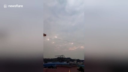 Wild geese migrate ahead of Spring