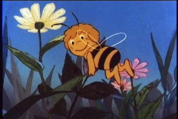 Pcelica Maja - Svitac Dzimi