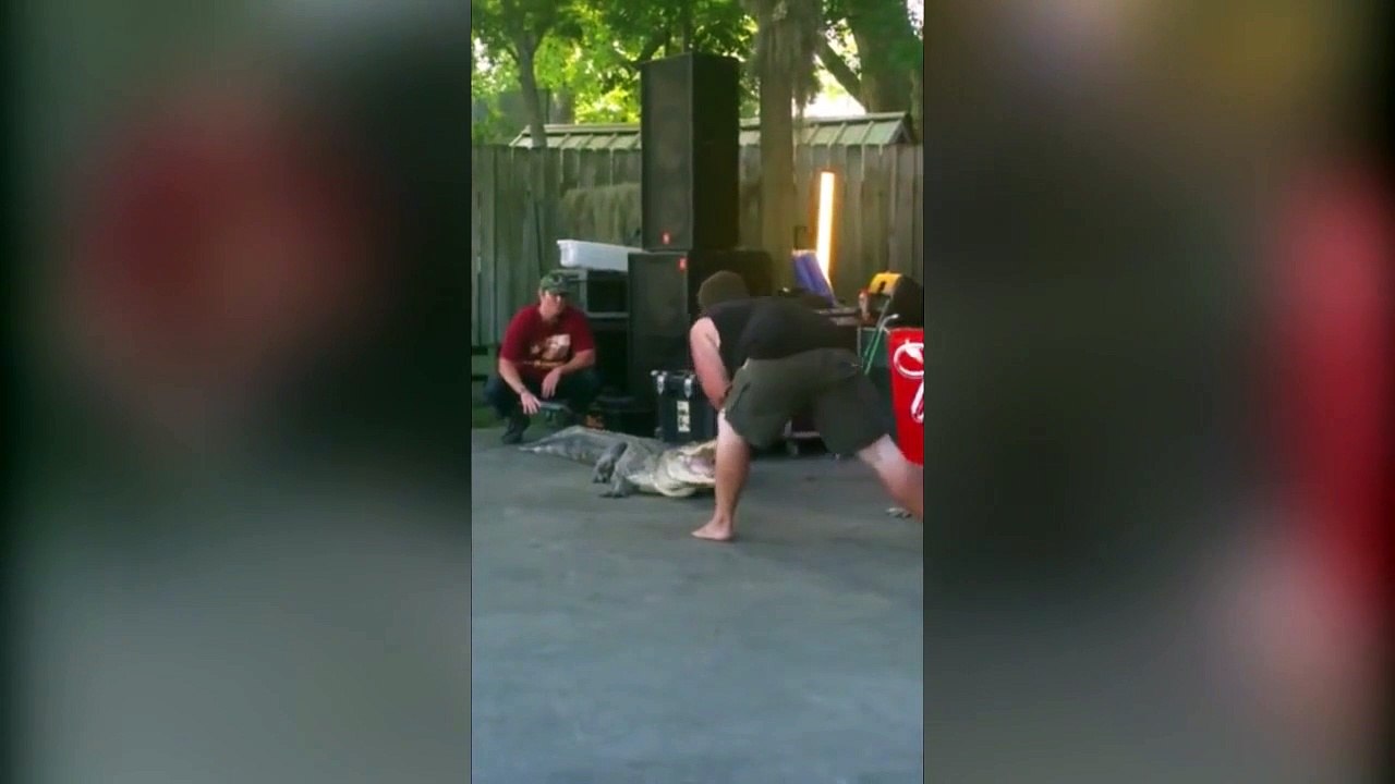 Un crocodile se retourne et mort le bras de l’assistant du dresseur.