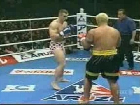 Mirko Crocop Vs Mark Hunt