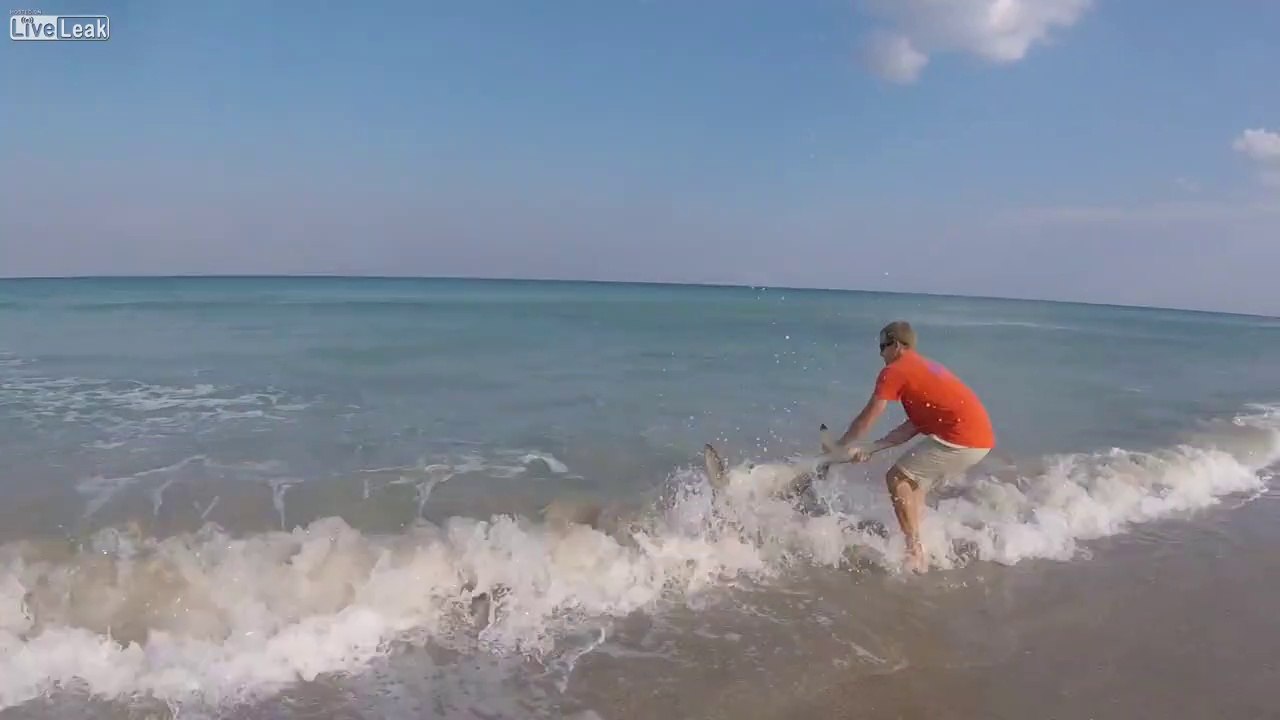 Cet homme sauve un requin coincé dans une ligne de pêche... A main nue!