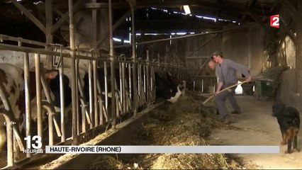 Agriculture : éleveurs, mais également fournisseurs d'énergie