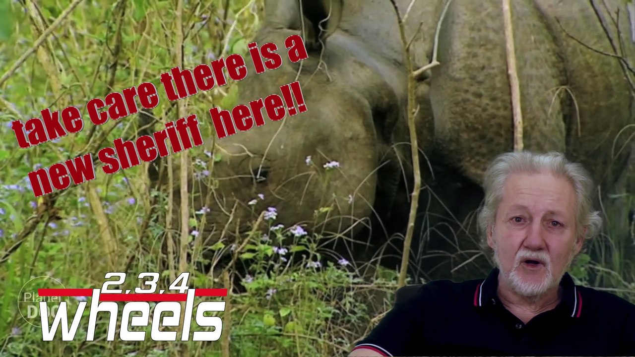 Pour protéger ses rhinos, l'Inde tue ses braconniers