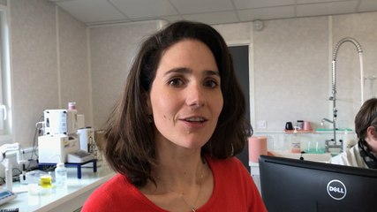 Une partie des produits de "Chez moi" sont écolebellisés