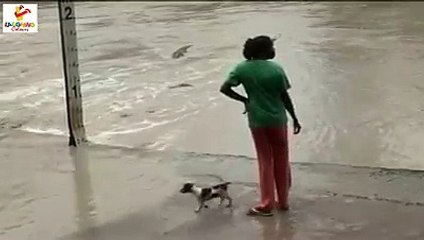Funny videos water challenge try not to laught best funny videos