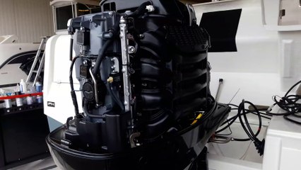 Hors-Bord Suzuki DF150 T et DF150 AP : quelle différence ?