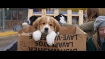 A Dogs Purpose - Trailer - Own it on Digital HD 418 on Blu-ray & DVD 52 [Full HD,1920x1080]