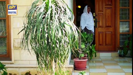 Main Mehru Hoon Episode 153