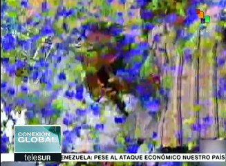 Encuestas en Ecuador dan ventaja en intención de voto a Lenin Moreno