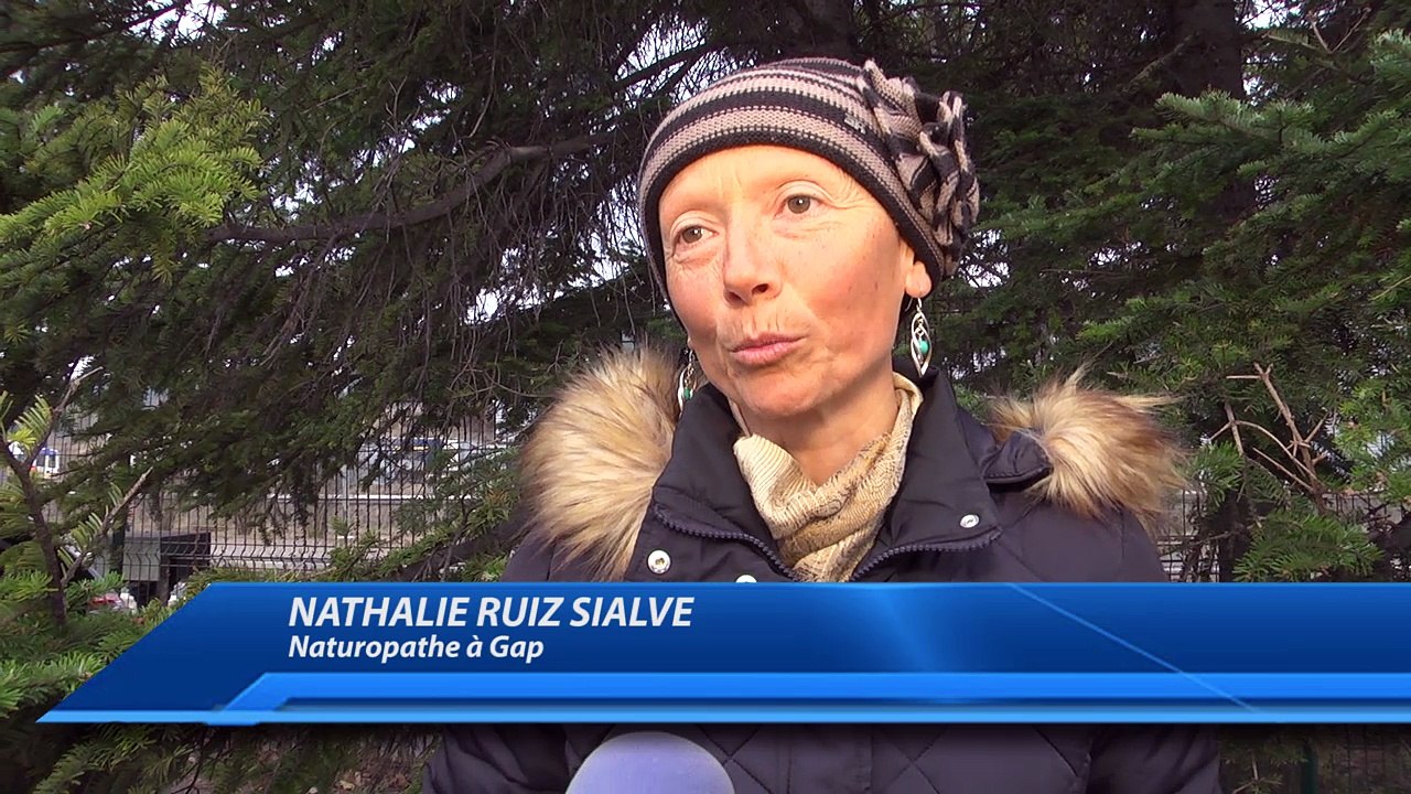 Alpes du Sud : le pissenlit signe du retour du printemps !