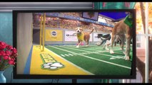 THE SECRET LIFE OF PETS Promo Clip Puppy Bowl 2016 Animated Comedy Movie HD
