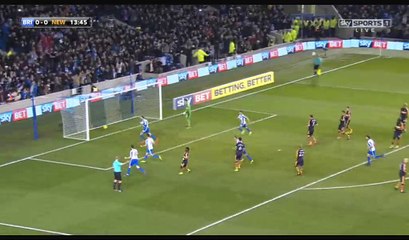 Glenn Murray Goal HD - Brighton 1-0 Newcastle Utd - 28.02.2017