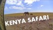 Wildlife at the Masai Mara National Reserve