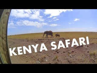 Wildlife at the Masai Mara National Reserve
