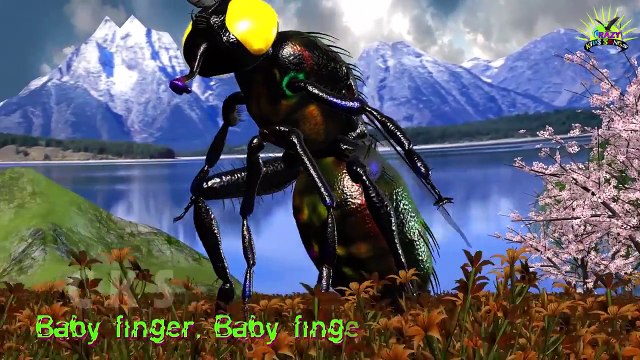 Диких Животных Finger Семья Потешки Для Детей | Семьи Песня Слон Палец