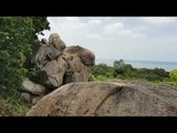 Chuyện lạ Việt Nam - Hòn đá hình đầu rắn, đầu voi!!!