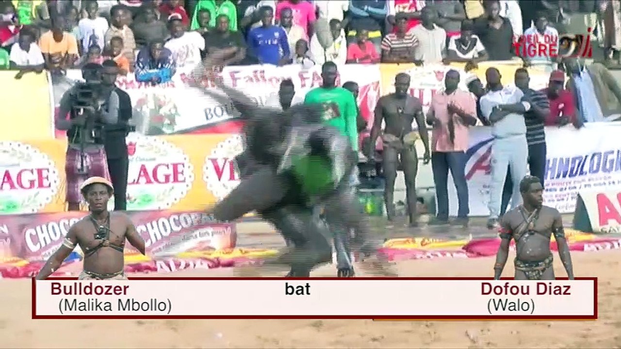 REPLAY - L'Oeil du tigre 28 Fevrier 2017 - Intégralité