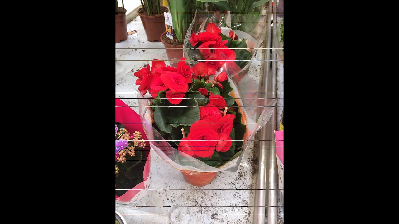 Maman souvenir 01 03 2017