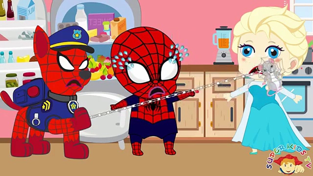 Paw Patrol and Frozen Elsa save Birds Flying High New Episodes! Spiderman Superheroes In R