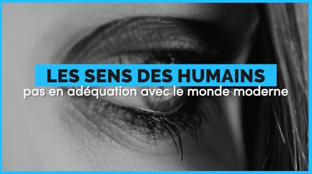 Nos sens ne sont plus en adéquation avec le monde moderne