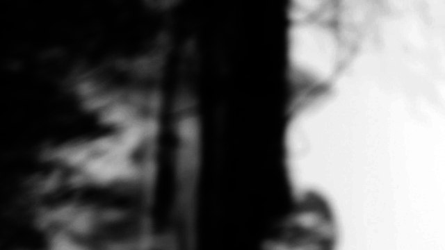 Justyna Gorządek, Idę z rzeką, woda myśli za mnie , 2015, I rok 2 stopnia, specjalność: Intermedia