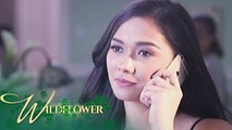 Wildflower: Ivy's investment in the Ardientes' business | EP 12