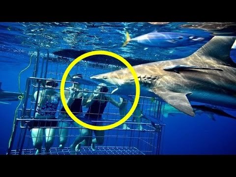 Chuyện lạ - Những loại hình du lịch ĐỘC NHẤT VÔ NHỊ trên thế giới