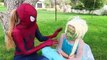 Spider-man vs JOKER UGLY FROZEN ELSA TURNS RAINBOW FACE Spidergirl & Superman HARLEY QUINN